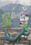 DVD-zum-Buch-Der-grüne-Regenwurm